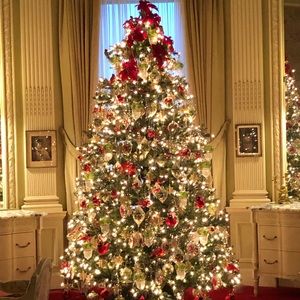 Meet your Posher, Cam